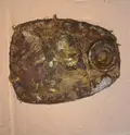 Cover Gearbox M72, K750, K650, MW750, M61, M52. — Photo 2